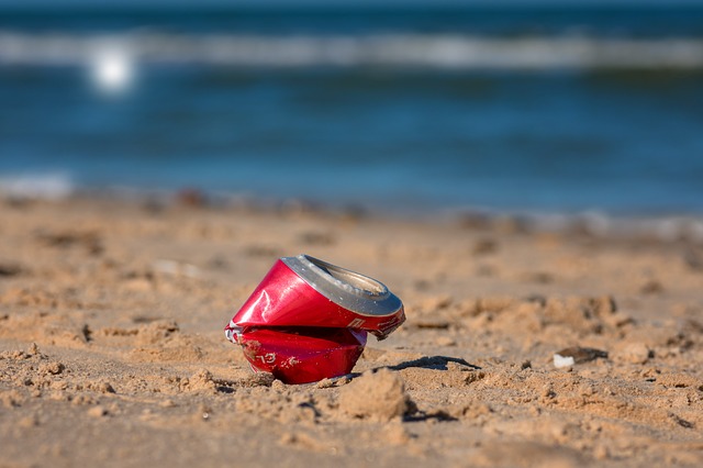 Müllsammelaktion 2019 am Strand der Rostocker Heide