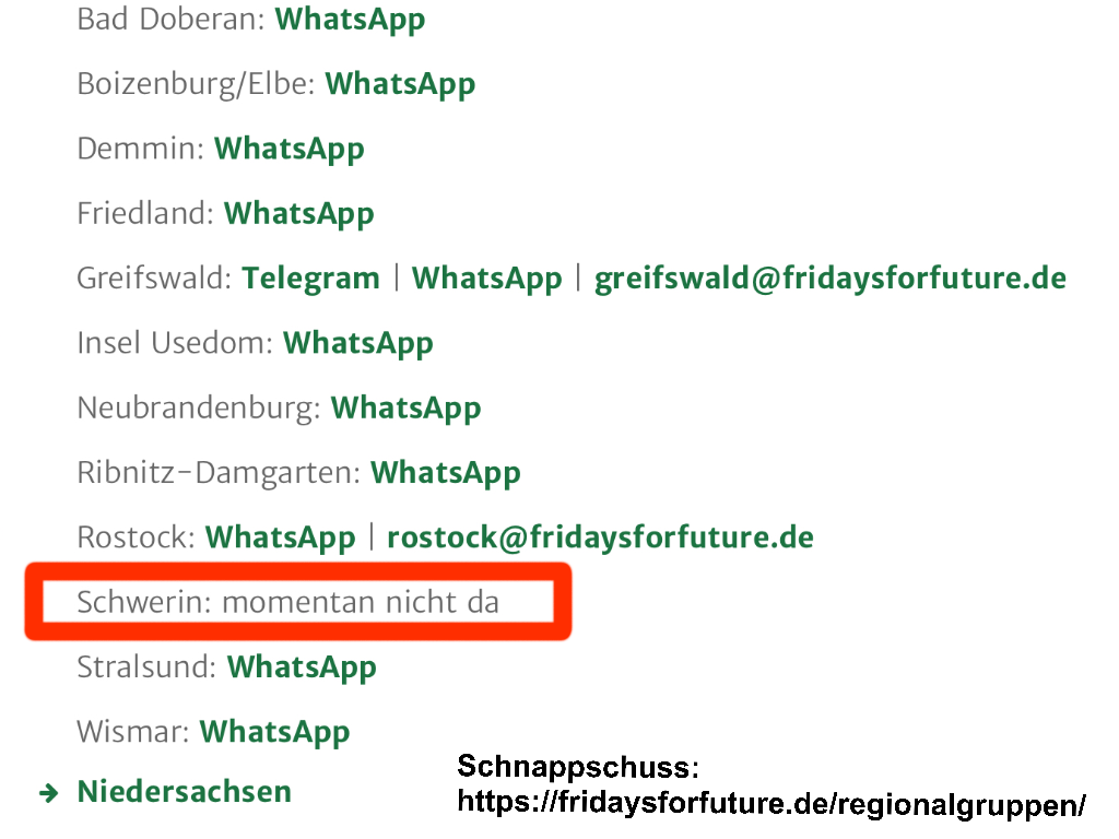 Schweriner „Fridays for Future“-Whatsapp-Gruppe von Rechtsextremen gehackt