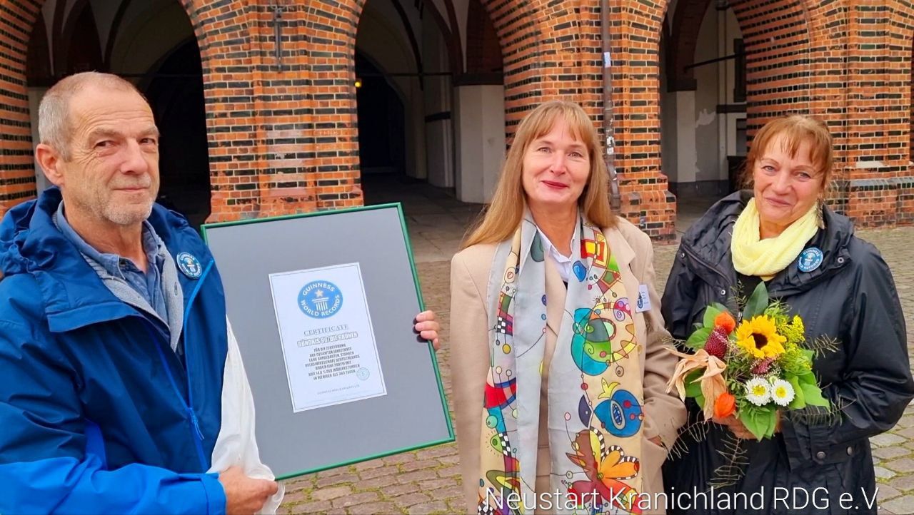 Provokante Kunstaktion bei den Stralsunder Grünen