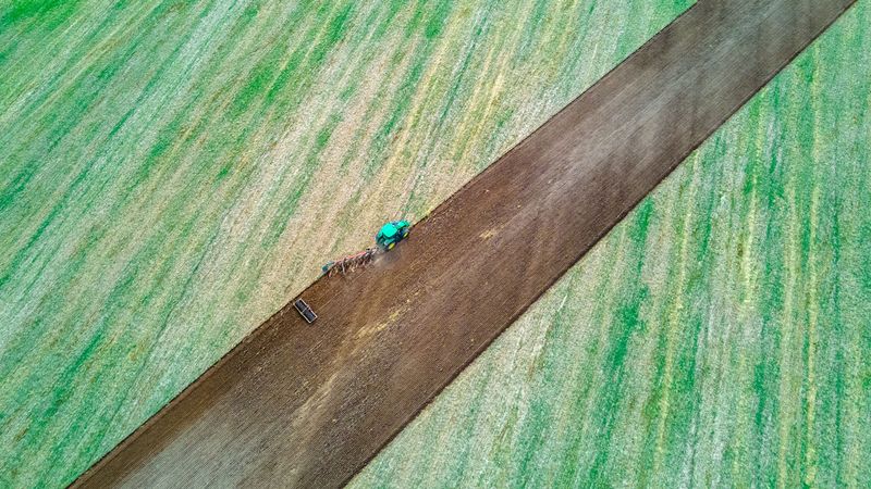 Landwirte fordern Kostenentlastung für Tierhalter