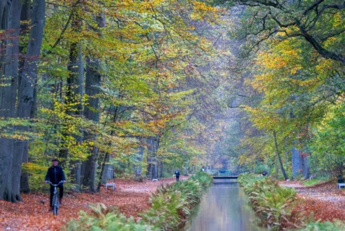 Erste Wege im größten Schlosspark von MV wieder freigegeben